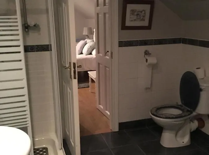 Shashas Gleanndobhar *