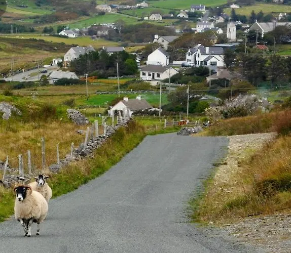 Shashas Gleanndobhar Oda ve Kahvaltı