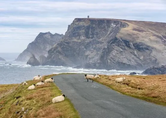 Couette-café Shashas Gleanndobhar *